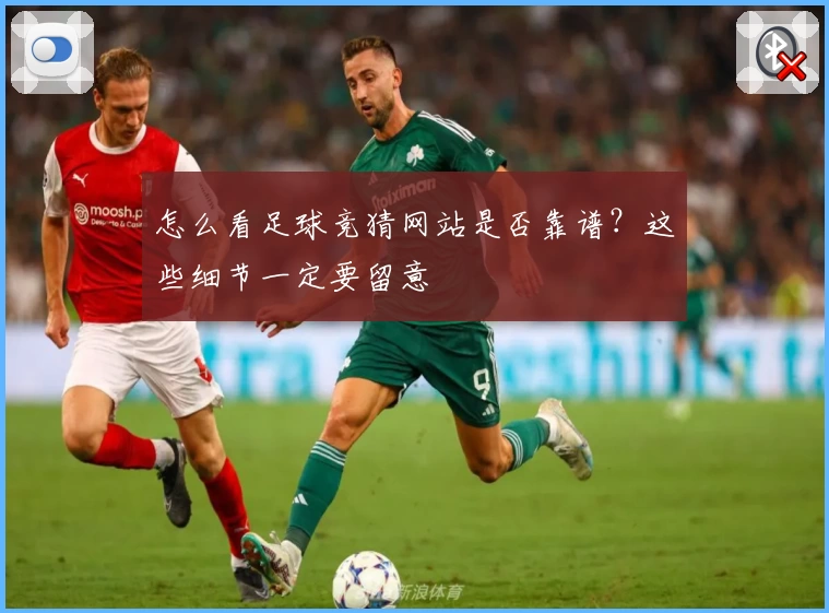 怎么看足球竞猜网站是否靠谱？这些细节一定要留意