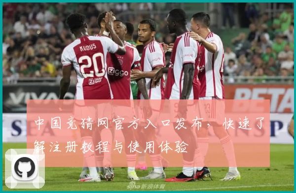 中国竞猜网官方入口发布，快速了解注册教程与使用体验