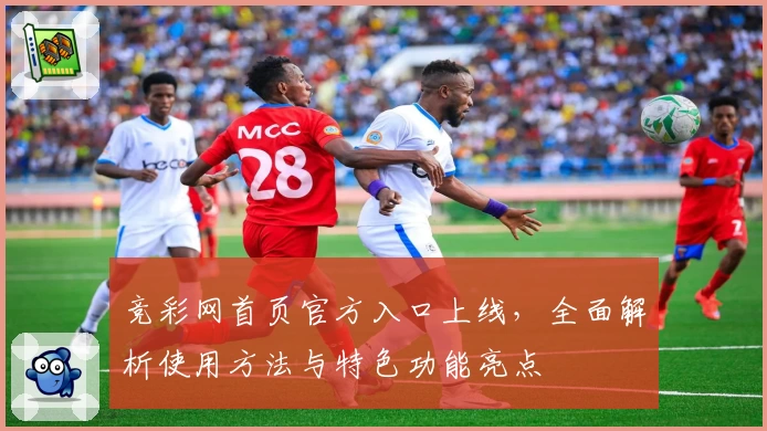竞彩网首页官方入口上线，全面解析使用方法与特色功能亮点