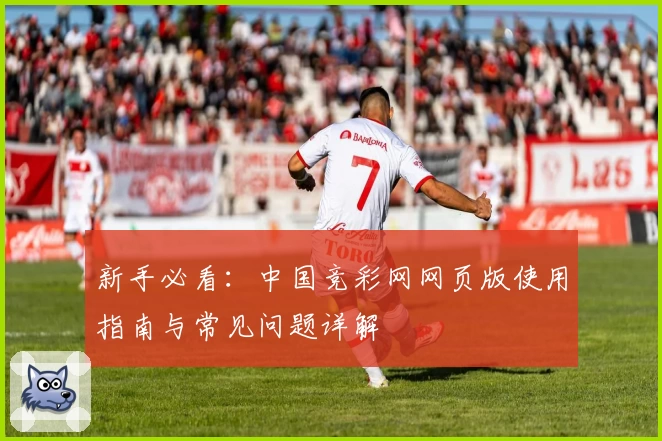 新手必看：中国竞彩网网页版使用指南与常见问题详解